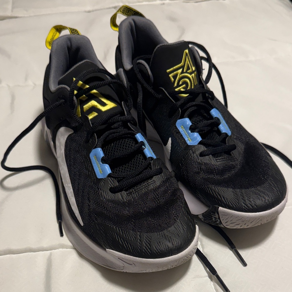 Men’s size 10.5 Nike Giannis Immortality 2 - Used